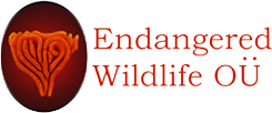 https://endangeredwild.life/wp-content/uploads/2023/10/logo-250x120-pixel-clear.png